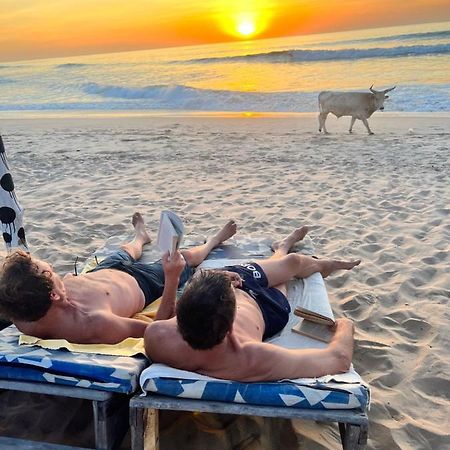 Nemasu Eco-Lodge Gunjur Dış mekan fotoğraf