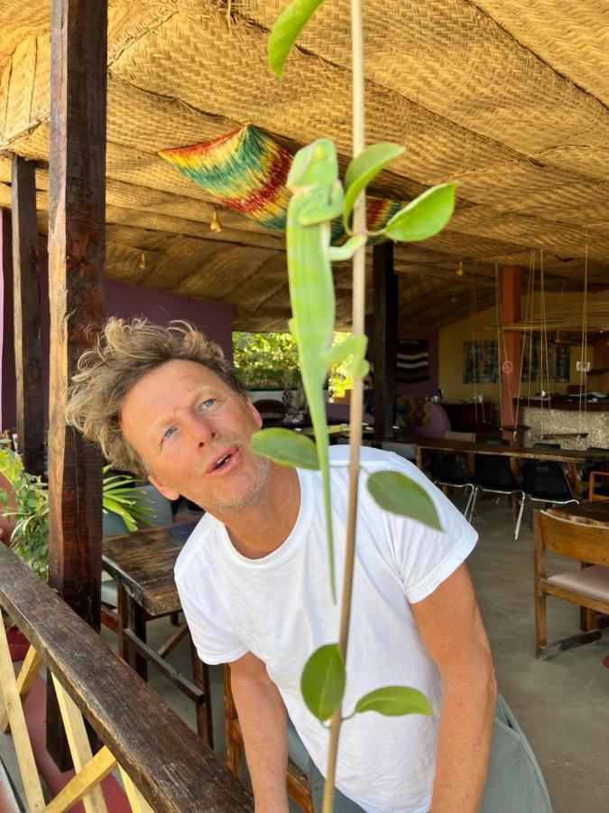 Nemasu Eco-Lodge Gunjur Dış mekan fotoğraf