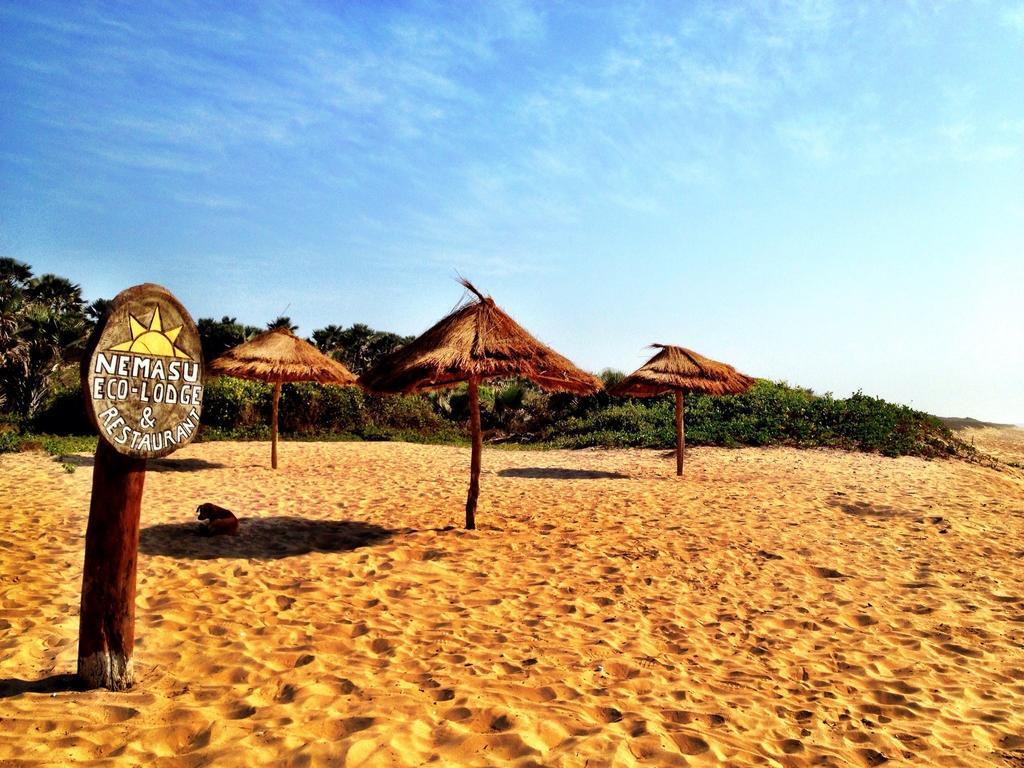 Nemasu Eco-Lodge Gunjur Dış mekan fotoğraf